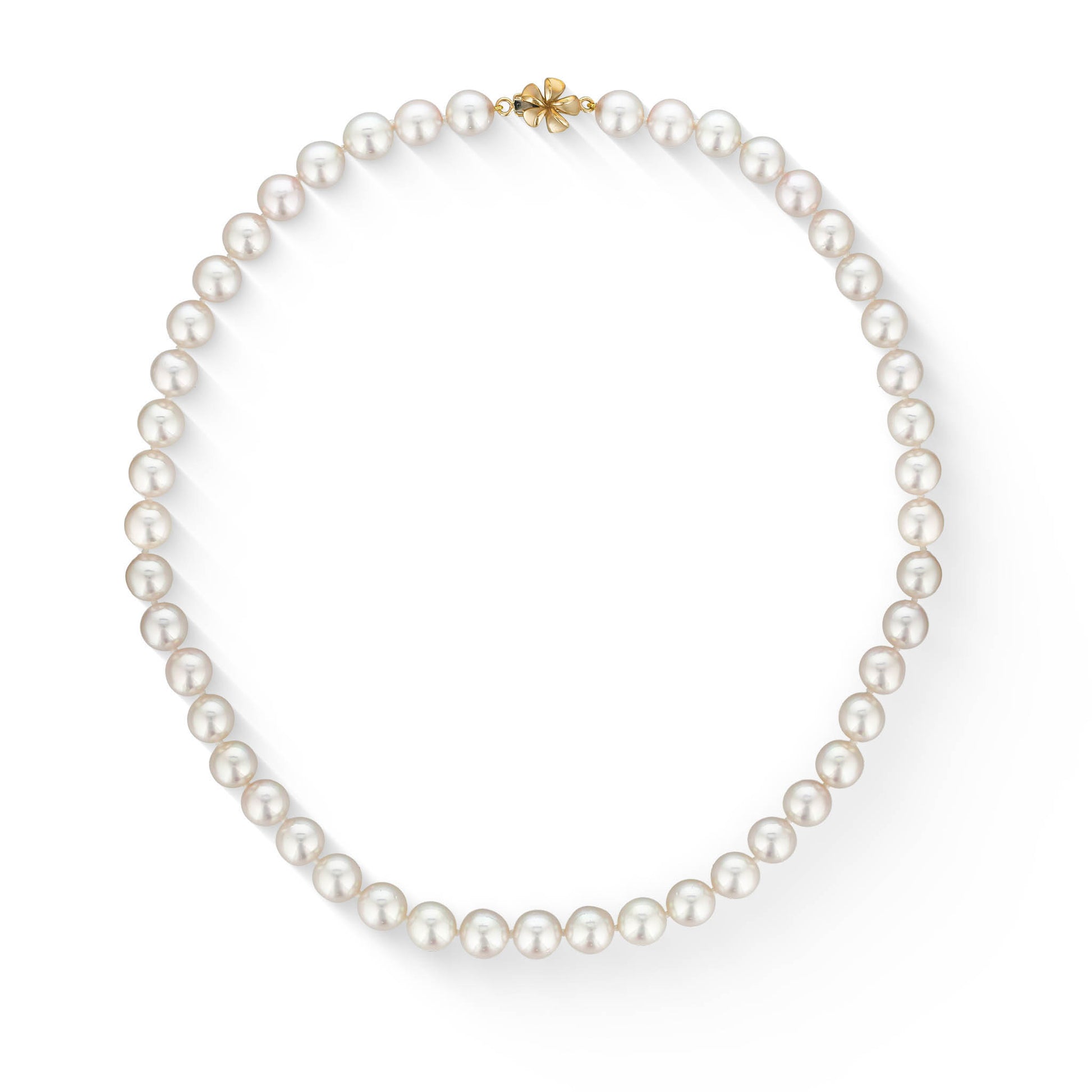 773539 - 14K Yellow Gold - White Akoya Pearl Choker Necklace