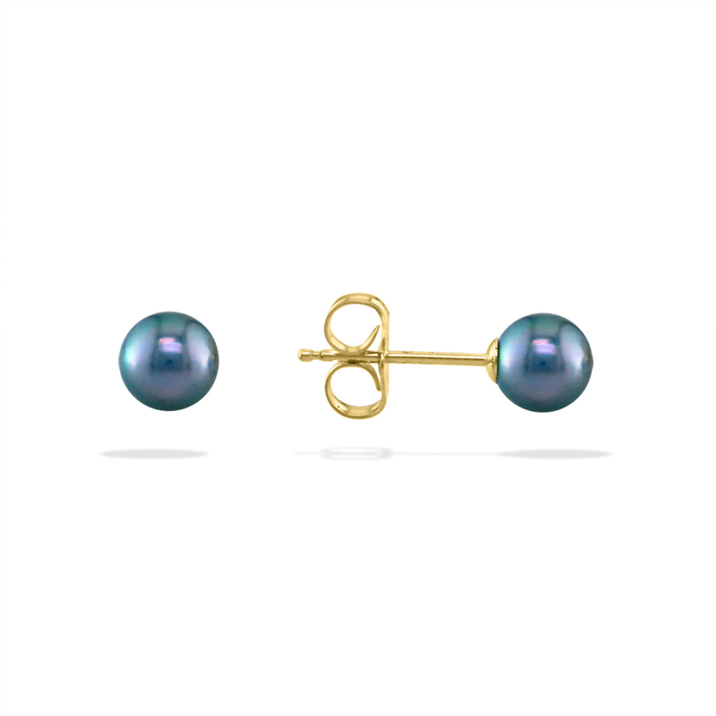 14241 - 14K Yellow Gold - Blue Akoya Pearl Stud Earrings