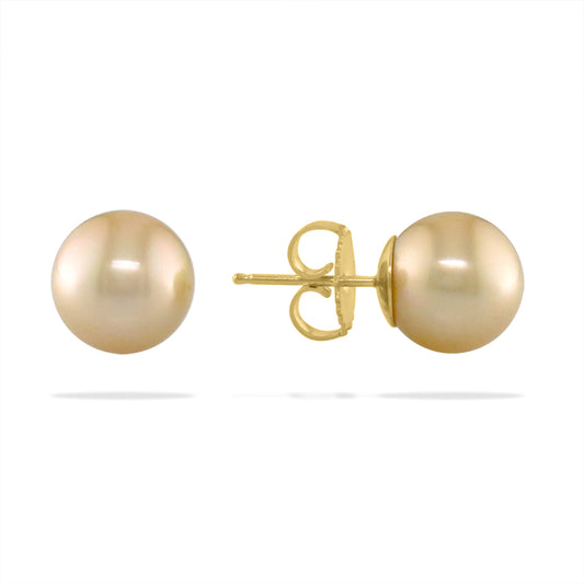 17353 - 14K Yellow Gold - Golden South Sea Pearl Stud Earrings