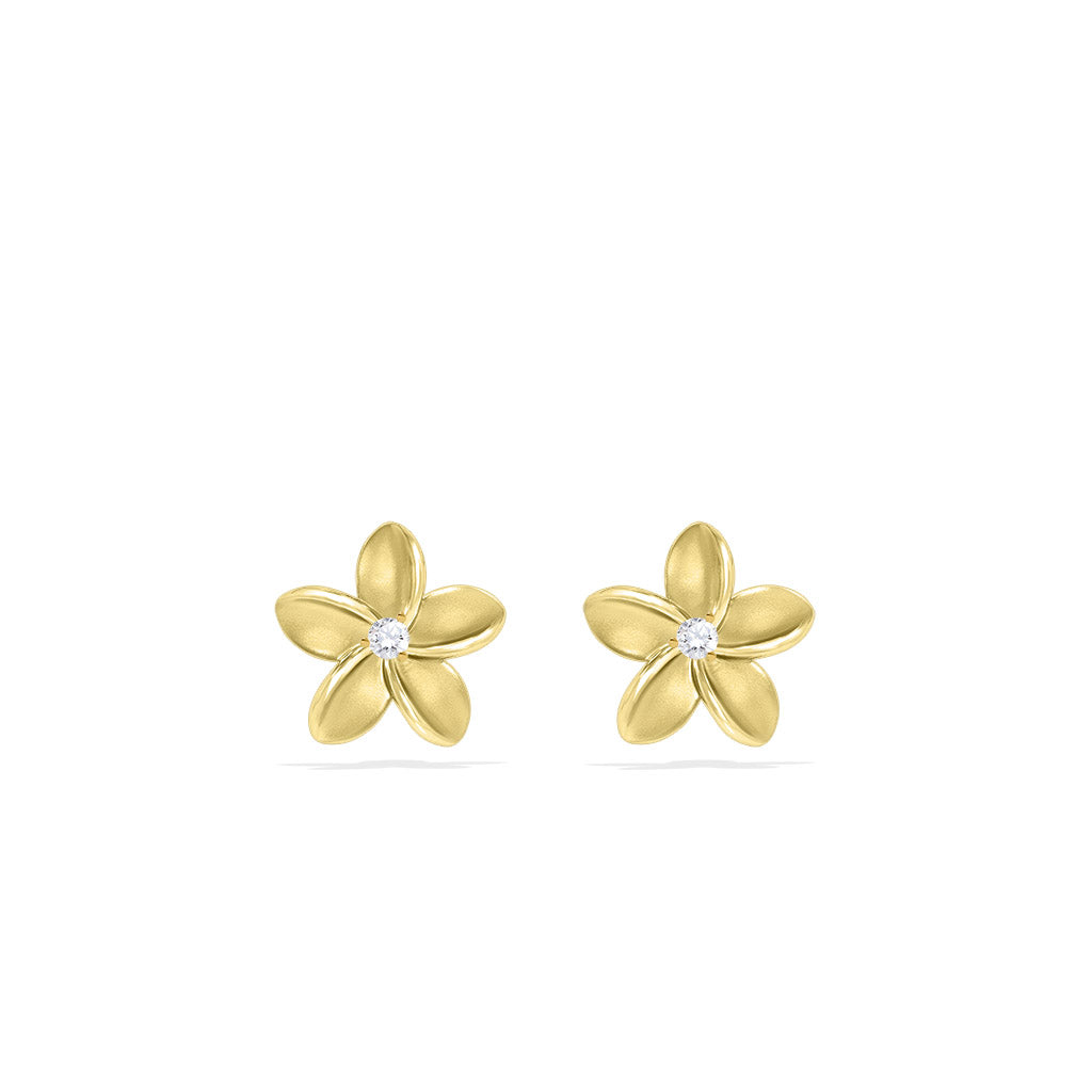 41081 - 14K Yellow Gold - Plumeria Stud Earrings