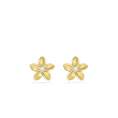 41081 - 14K Yellow Gold - Plumeria Stud Earrings
