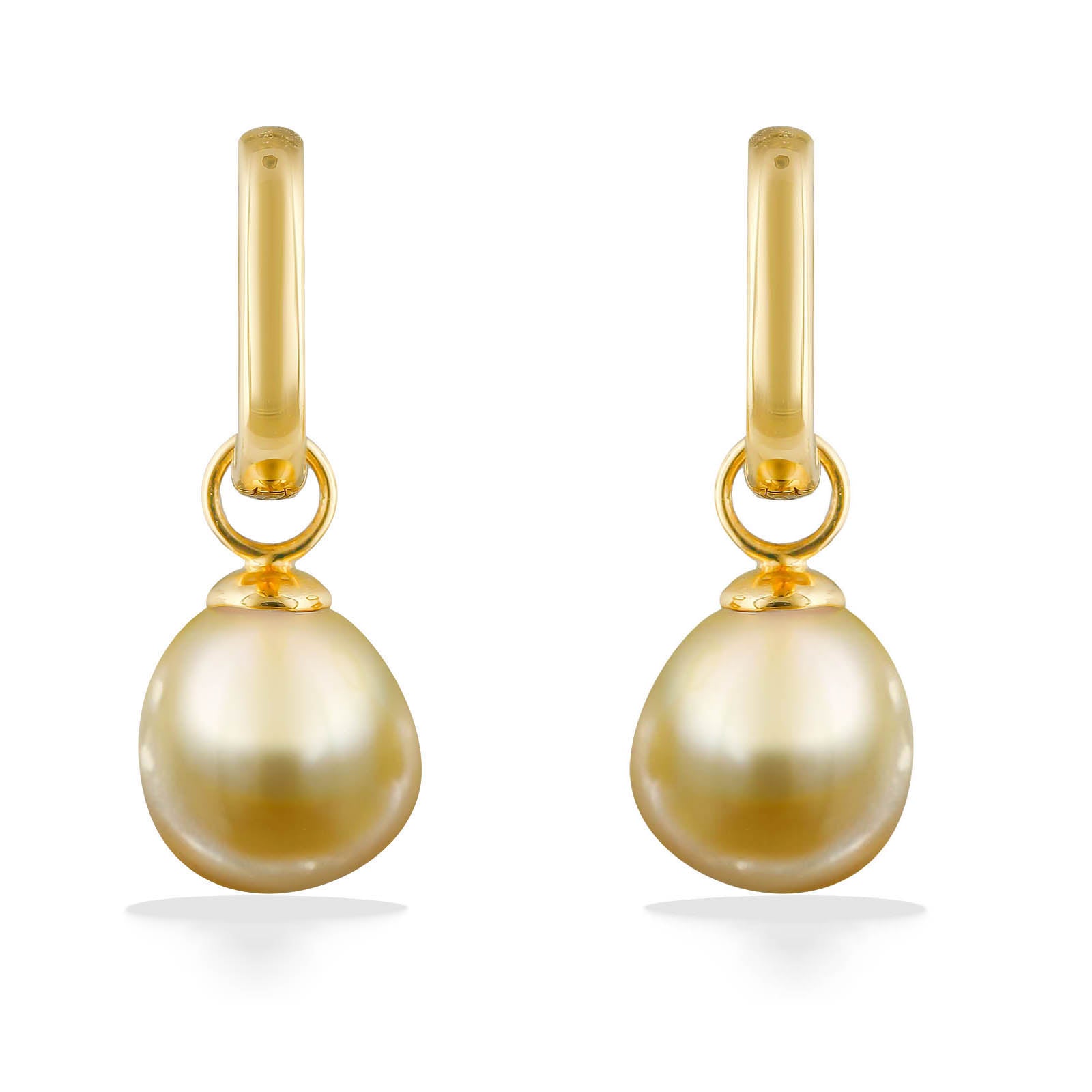 43705 - 14K Yellow Gold - Golden South Sea Pearl Hoop Earrings